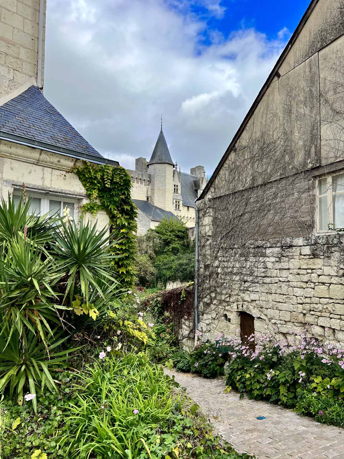 Montsoreau-Village5